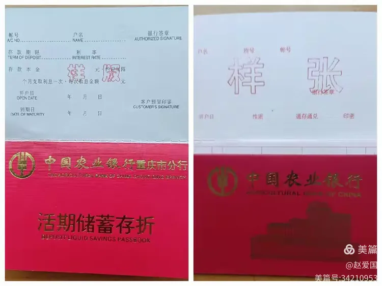 我的票样收藏（7）中国农业银行存折存单票样。票样藏品及文字编辑 赵爱国。 2023年11月